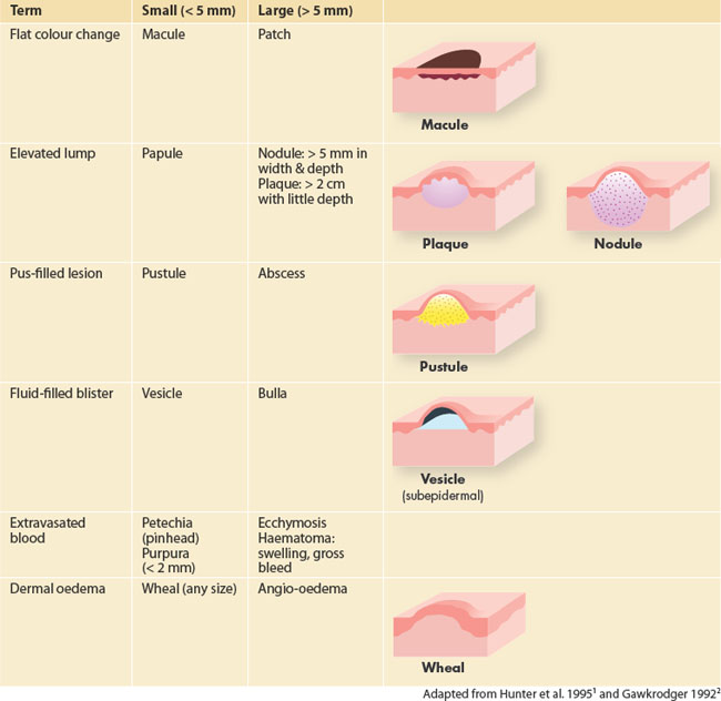 Skin Clinical Gate