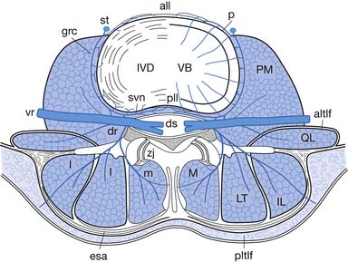 Epidural steroid injection evidence