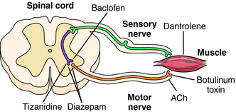 Skeletal muscle relaxants