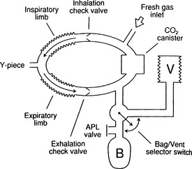 19 Anesthesia Circuits and Ventilators Clinical Gate