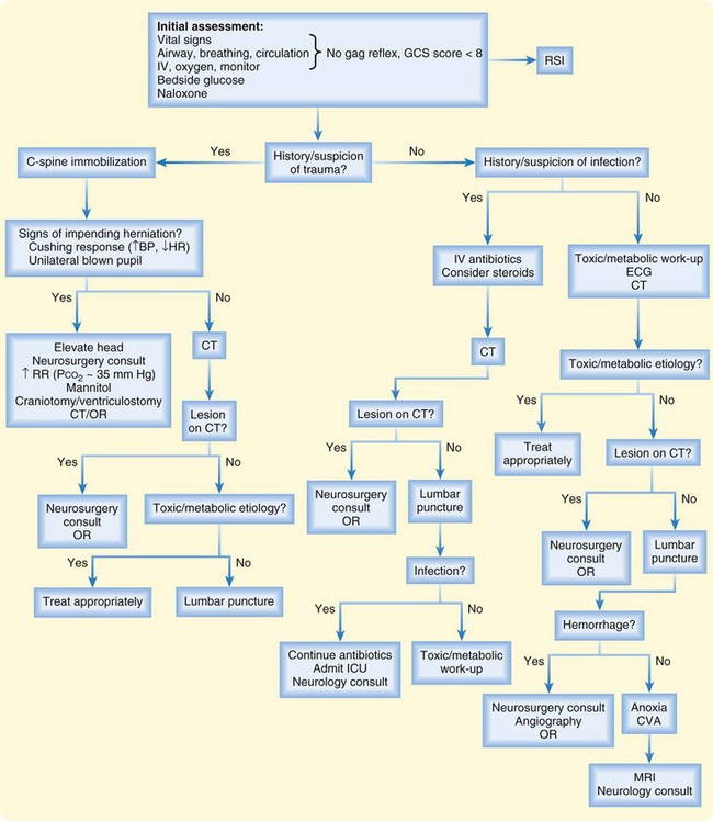 Altered Mental Status And Coma Clinical Gate