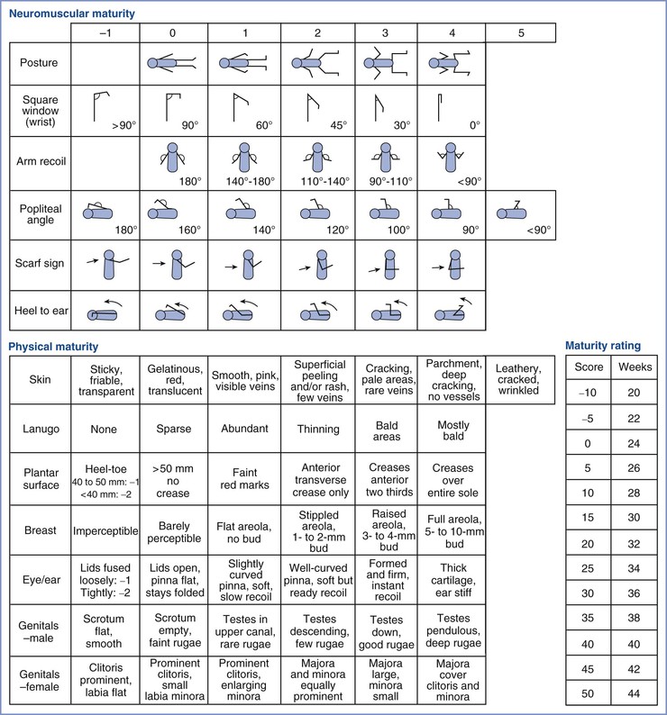 Ballard Dubowitz Gestational Age Assessment Chart