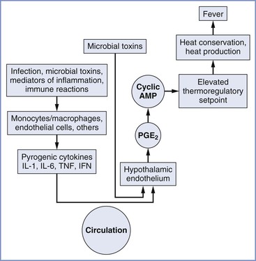 Fever and Infection | Clinical Gate