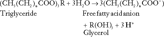 si16_e