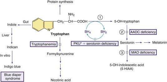 Dihydrobiopterin Reductase Pku Diet