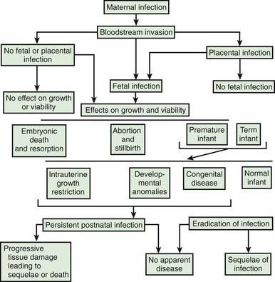pathophysiology of sepsis neonatorum