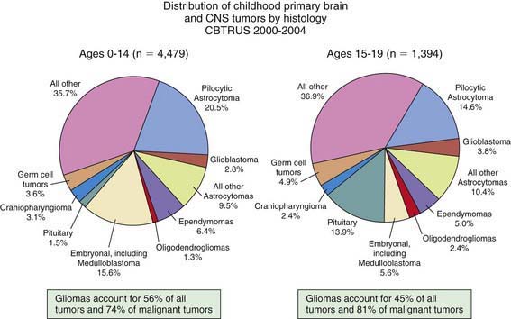 Brain Tumors In Childhood Clinical Gate