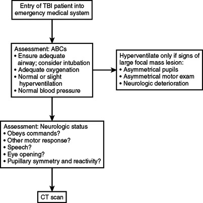 TRAUMATIC BRAIN INJURY: PATHOPHYSIOLOGY, CLINICAL DIAGNOSIS, AND ...