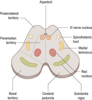 Nervous system | Clinical Gate