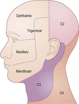 Nervous system | Clinical Gate