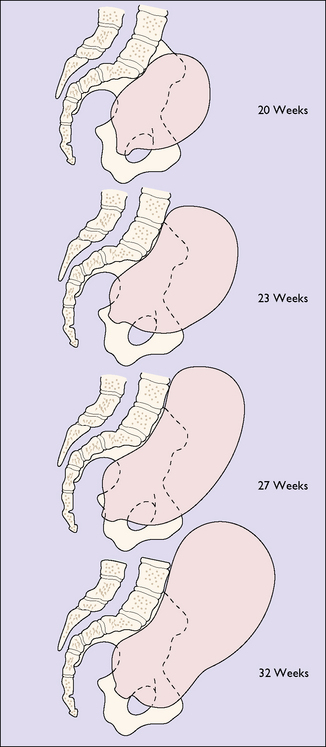 physiological-and-anatomical-changes-in-pregnancy-clinical-gate