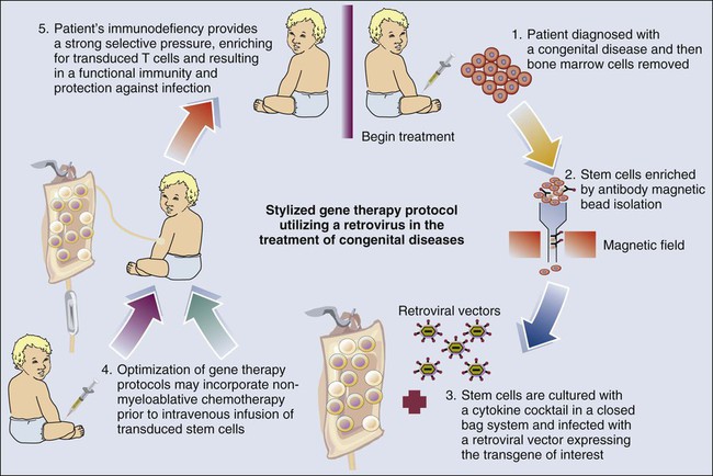 Gene Therapy In Oncology | Clinical Gate