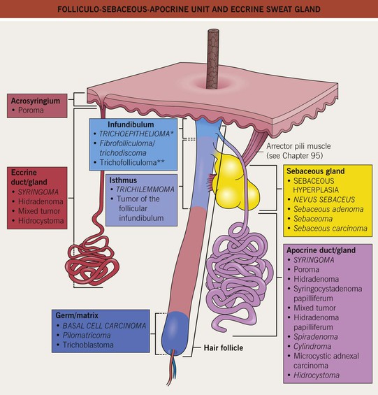 Adnexal Neoplasms Clinical Gate