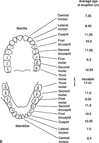 Face, Nose, and Oral Cavity | Clinical Gate