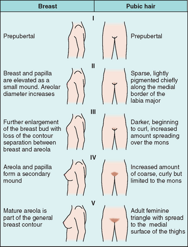 puberty girls stages chart