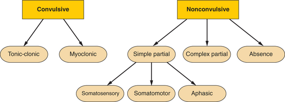 What Are Types Of Status Epilepticus