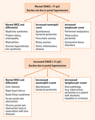 Faecal Incontinence | Clinical Gate