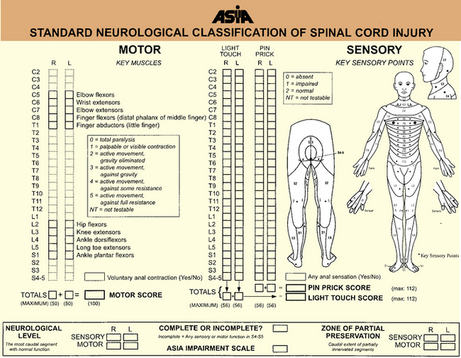 Spinal Cord Injury Clinical Gate