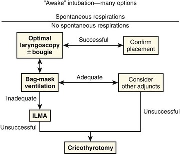 Basic Airway Management And Decision Making | Clinical Gate