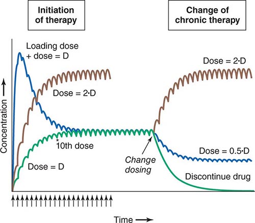 Steady state vs Loading dose HELP! : r/pharmacology