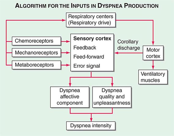 Dyspnea | Clinical Gate