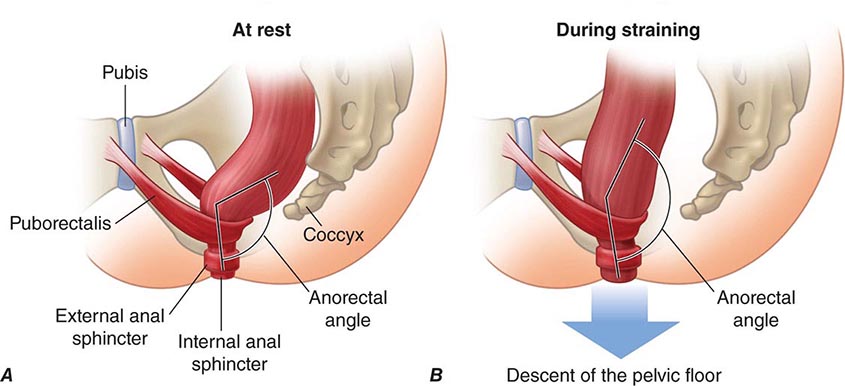 Anal Sphincter Exercise 120