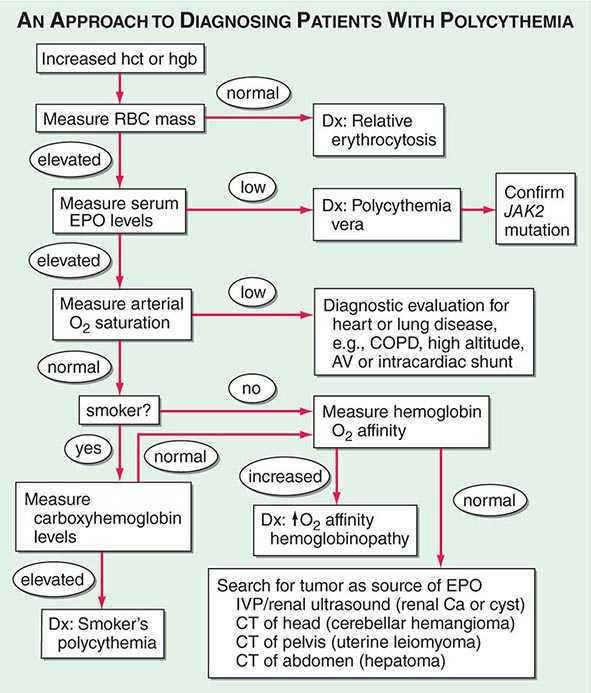 Bleeding and Thrombosis | Clinical Gate