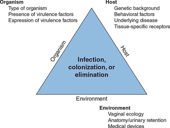 Sexually Transmitted Infections Overview And Clinical Approach Clinical Gate 