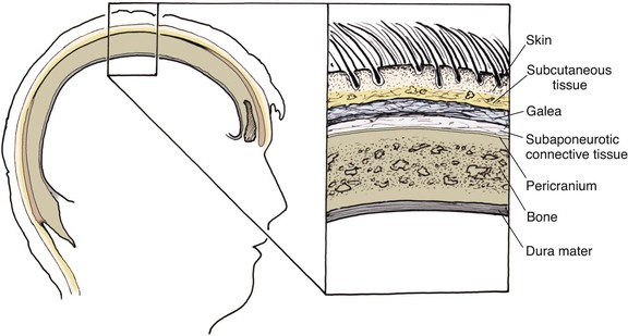 Reconstruction Of The Scalp Clinical Gate
