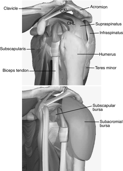 icd 10 left shoulder adhesive capsulitis