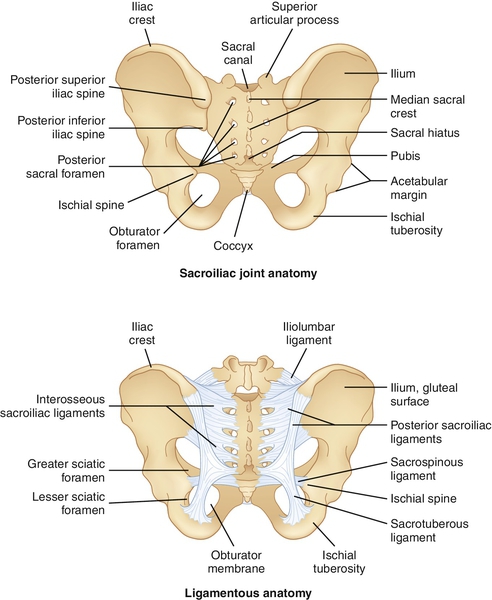 51 Sacroiliac Joint Dysfunction Clinical Gate 51 Sacroiliac Joint Dysfunction Clinical Gate