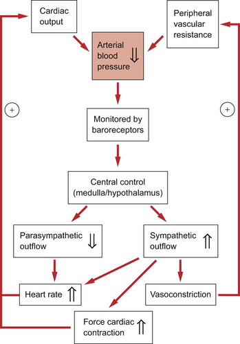 Cardiac Output Flow Chart