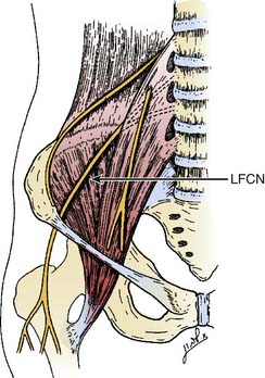 Lateral Femoral Cutaneous Nerve Block from the PNBschool