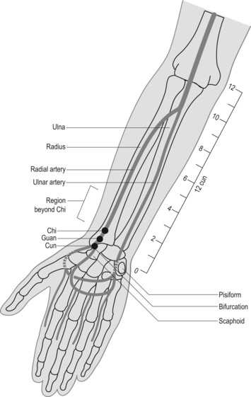 Figure, Ulnar nerve pathway Image courtesy O.Chaigasame
