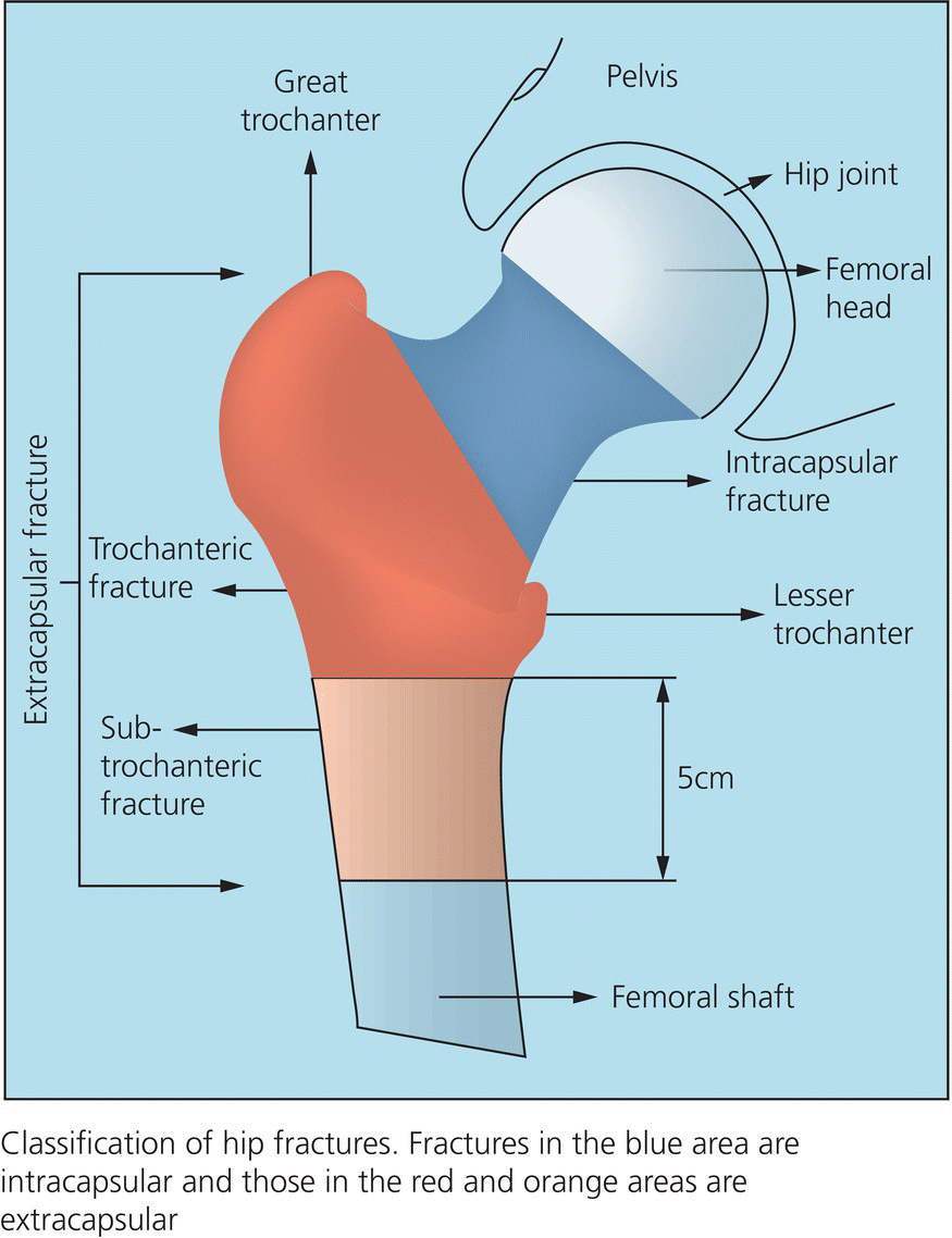 c18-fig-0002