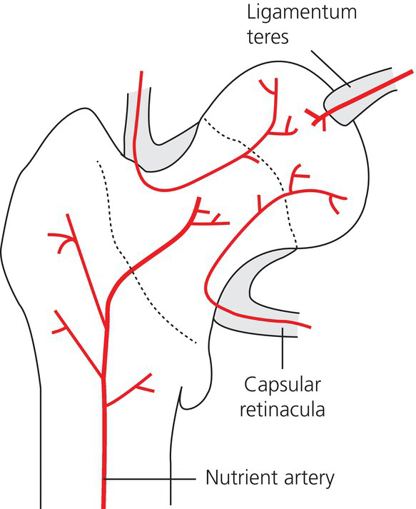 c18-fig-0003