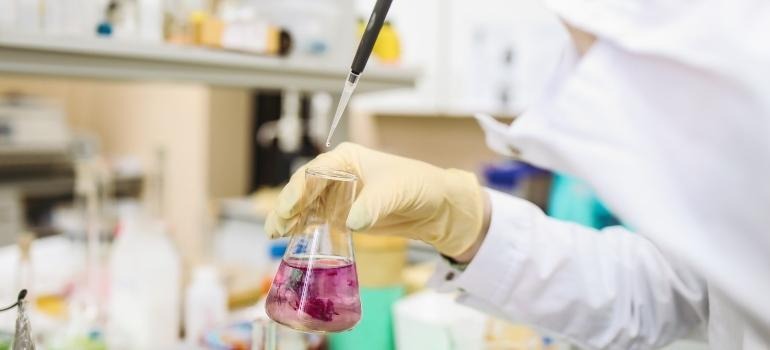 a person inspecting a purple substance in a laboratory